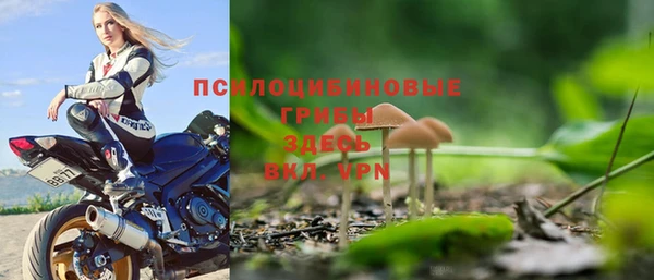 крисы Алзамай