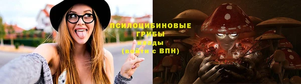 Альфа ПВП Пролетарск