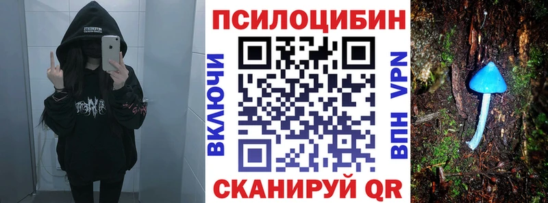 Псилоцибиновые грибы Magic Shrooms  MEGA ссылки  Кадников 